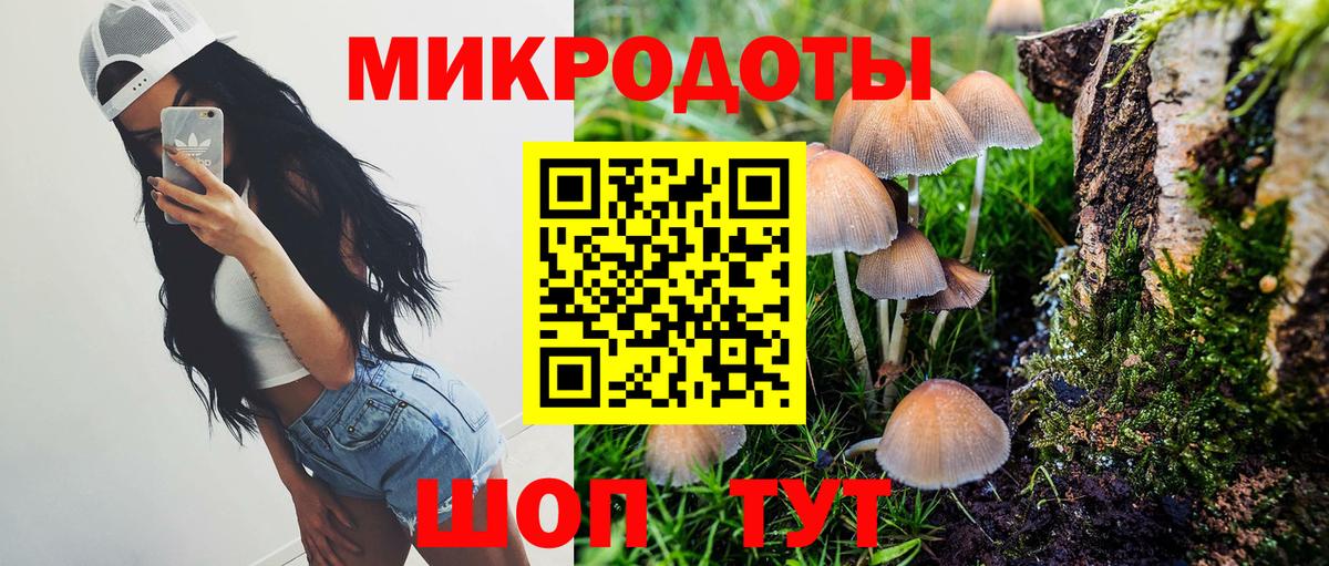 Галлюциногенные грибы мухоморы  цена   Вход с VPN  Тамбов  Псилоцибиновые грибы мухоморы 